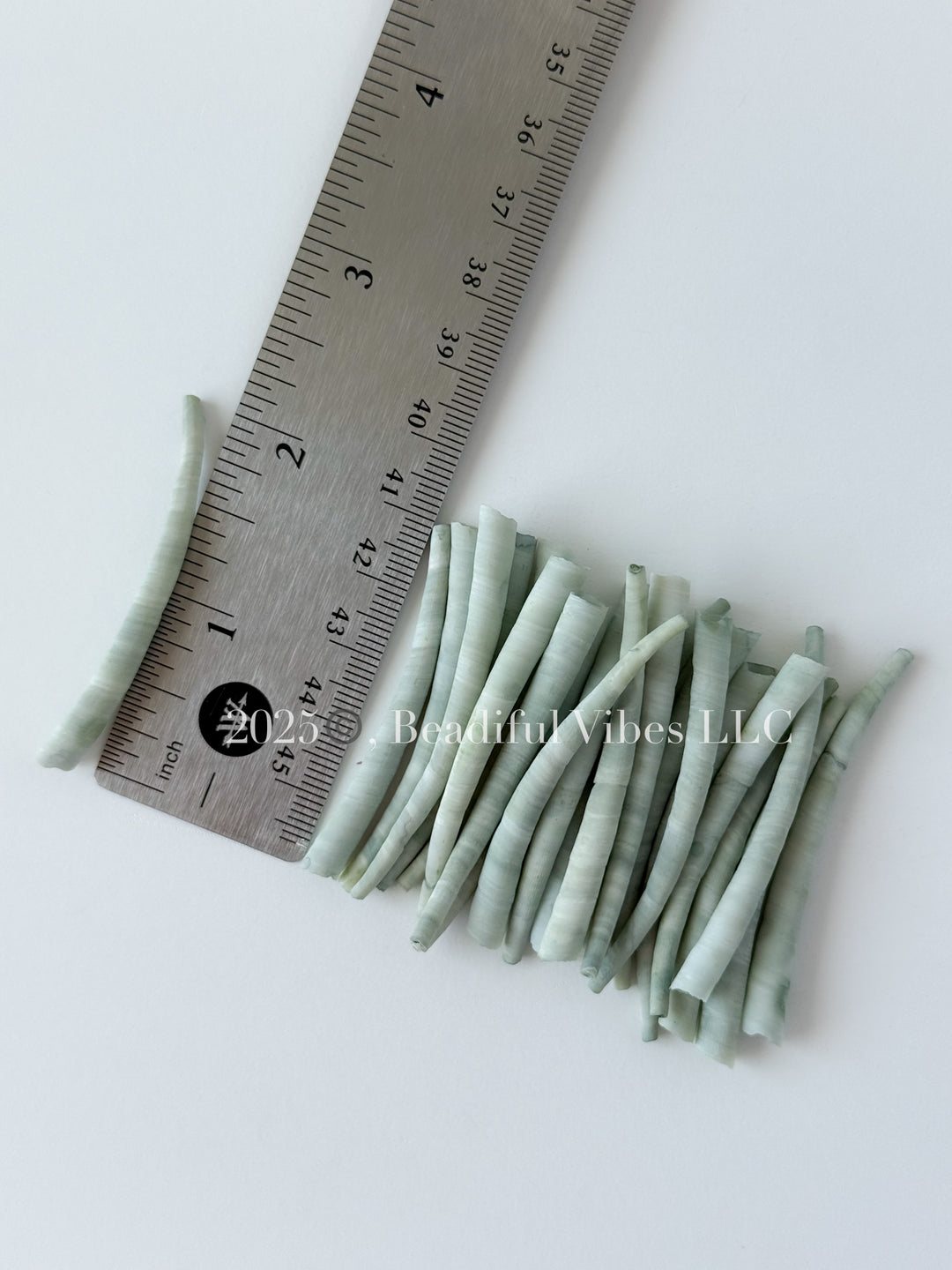 Basil Green-LRG Dentalium Shells