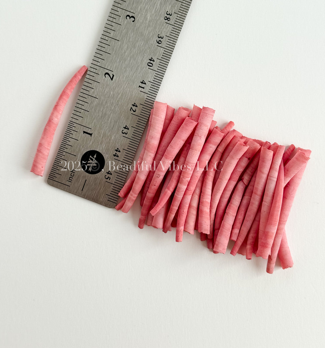 Rouge Pink-LARGE Dentalium Shells