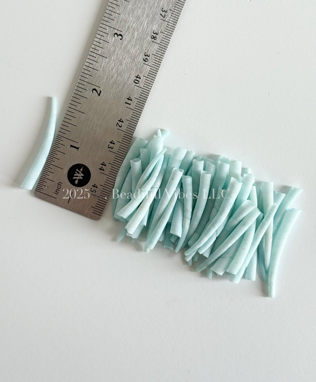 Sky Blue-LARGE Smooth Dentalium