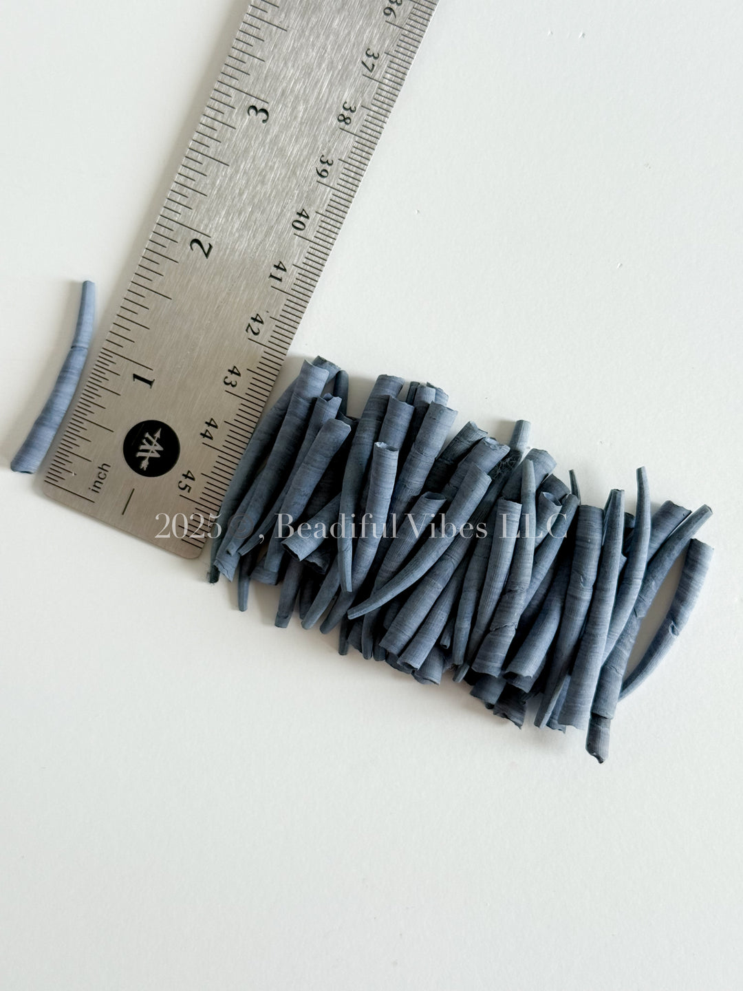 Midnight Sky-LARGE Smooth Dentalium Shells