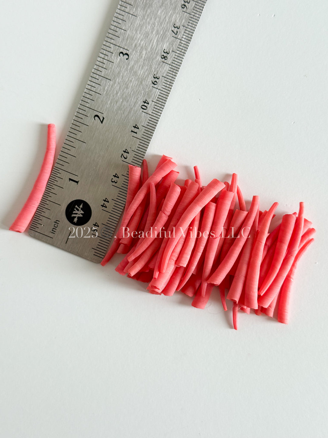 Neon Coral-LARGE Smooth Dentalium Shells