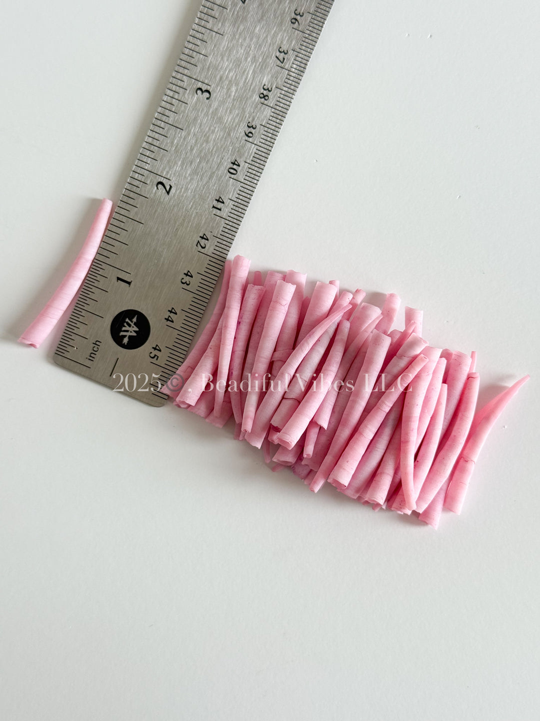 Blush-LARGE Smooth Dentalium Shells