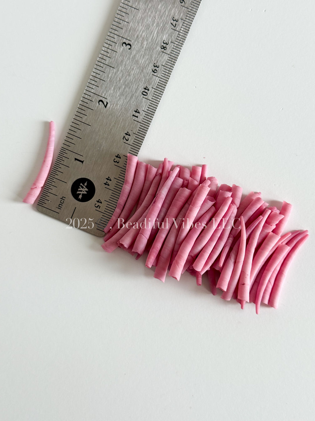 Pink Carnation-LARGE Smooth Dentalium Shells