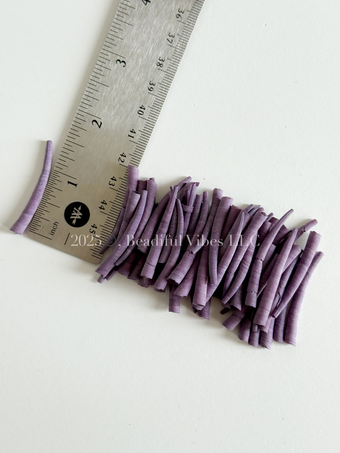 Plum-LARGE Smooth Dentalium Shells