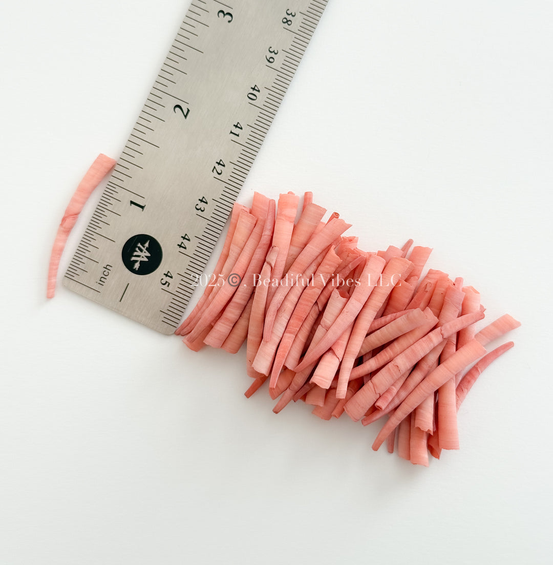 Toffee Peach SM-MED Dentalium Shells