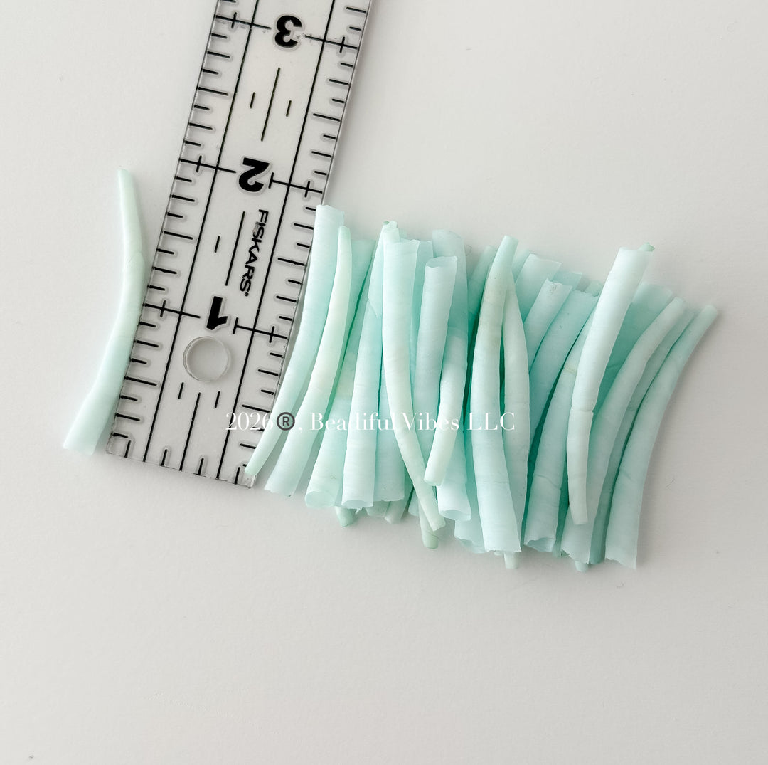 Light Cyan Dentalium Shells