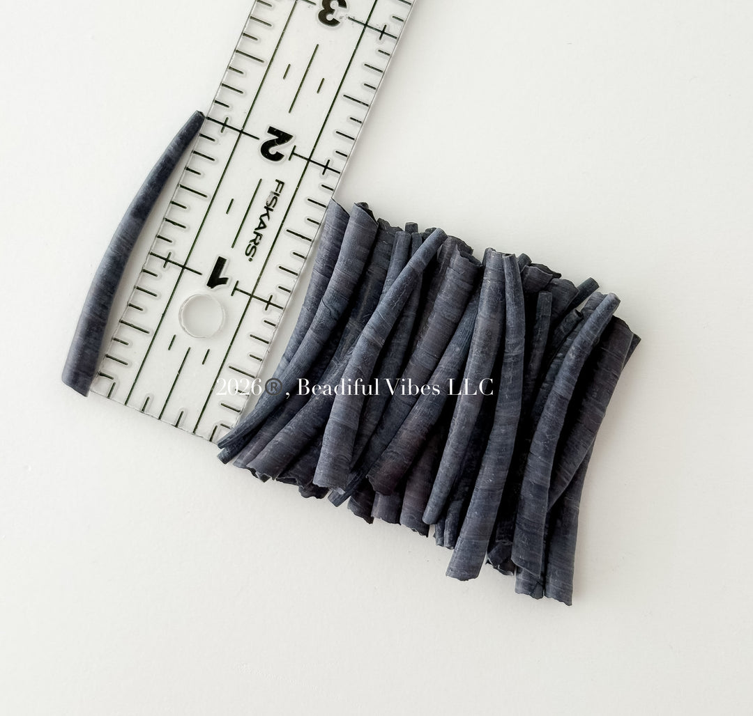 Midnight Dentalium Shells