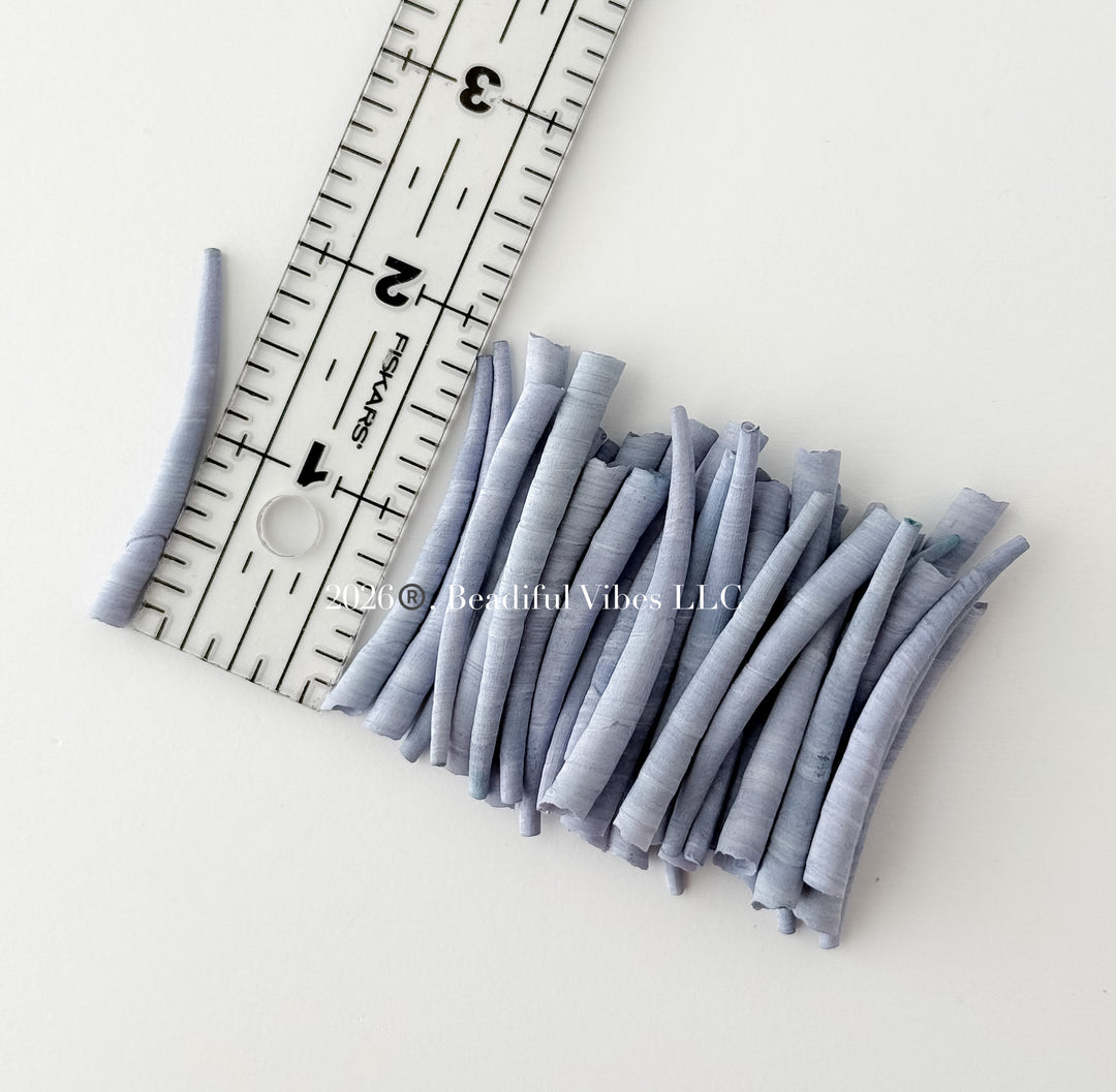 Blue moon Dentalium Shells
