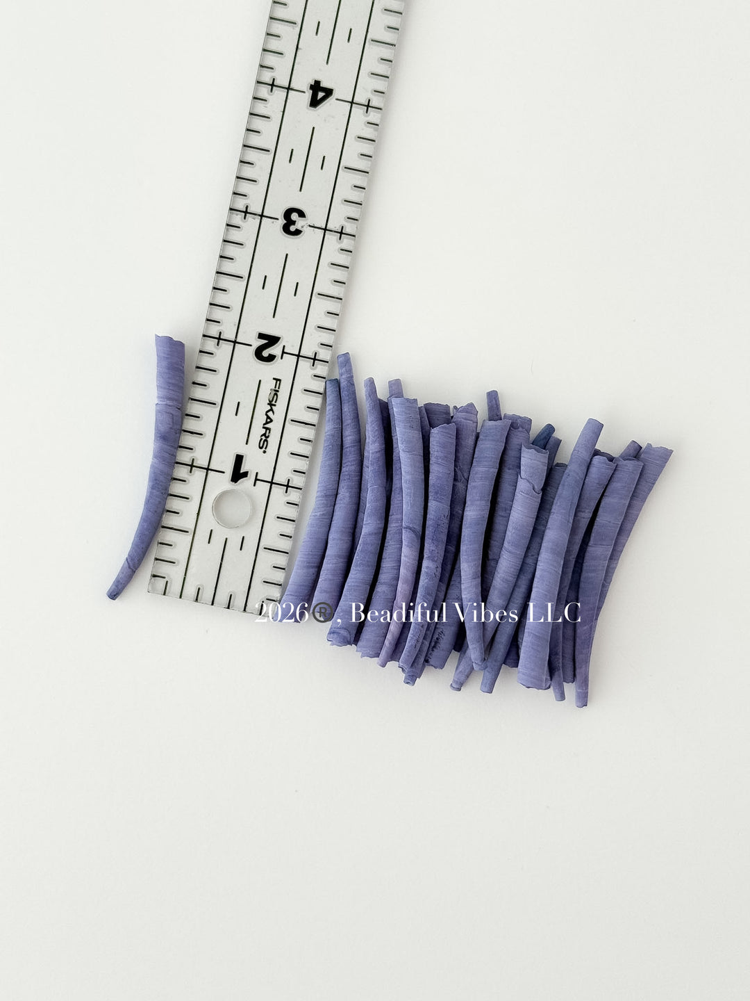 Electric Berry Dentalium Shells
