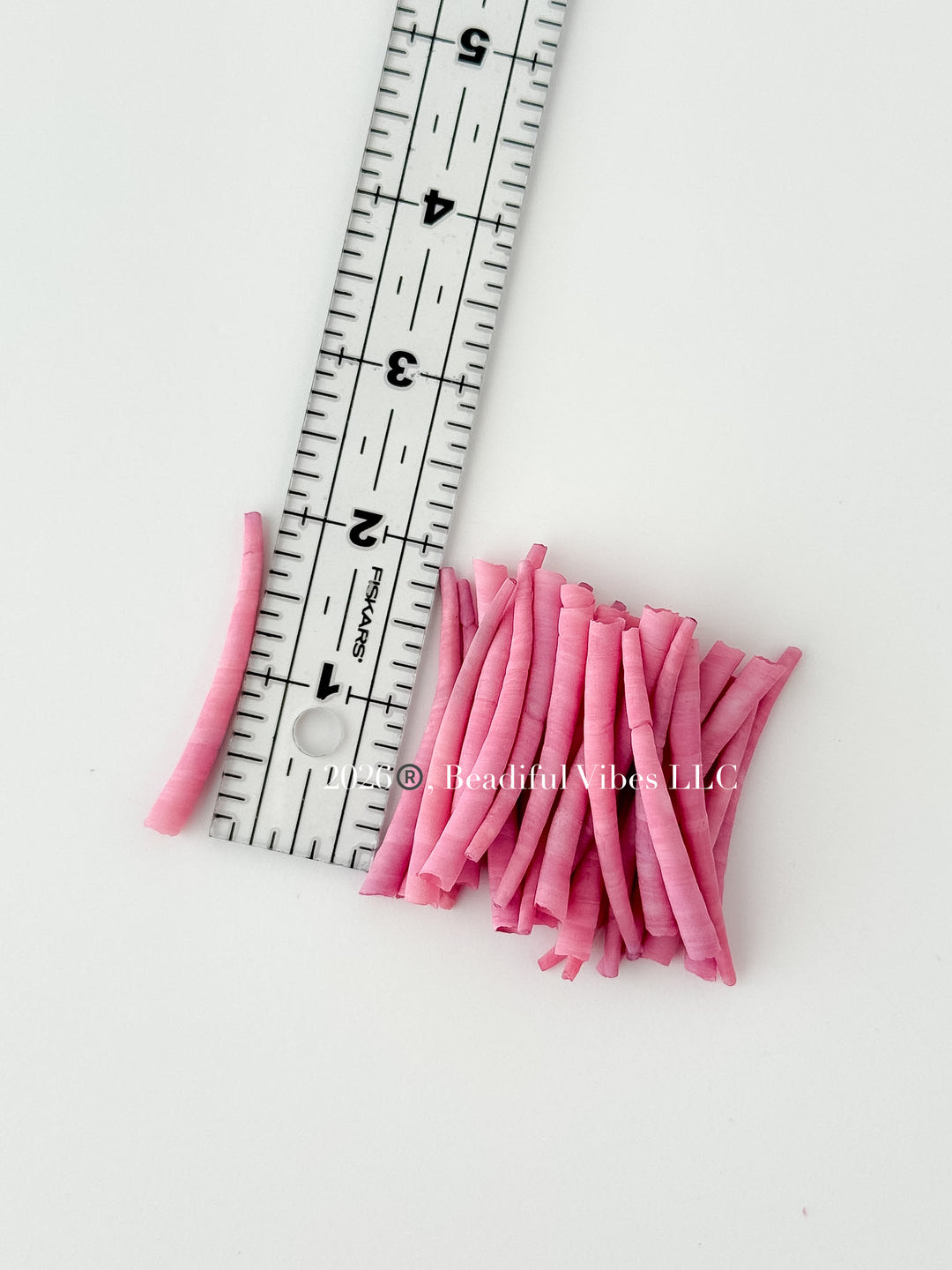 Dahlia Pink Dentalium Shells