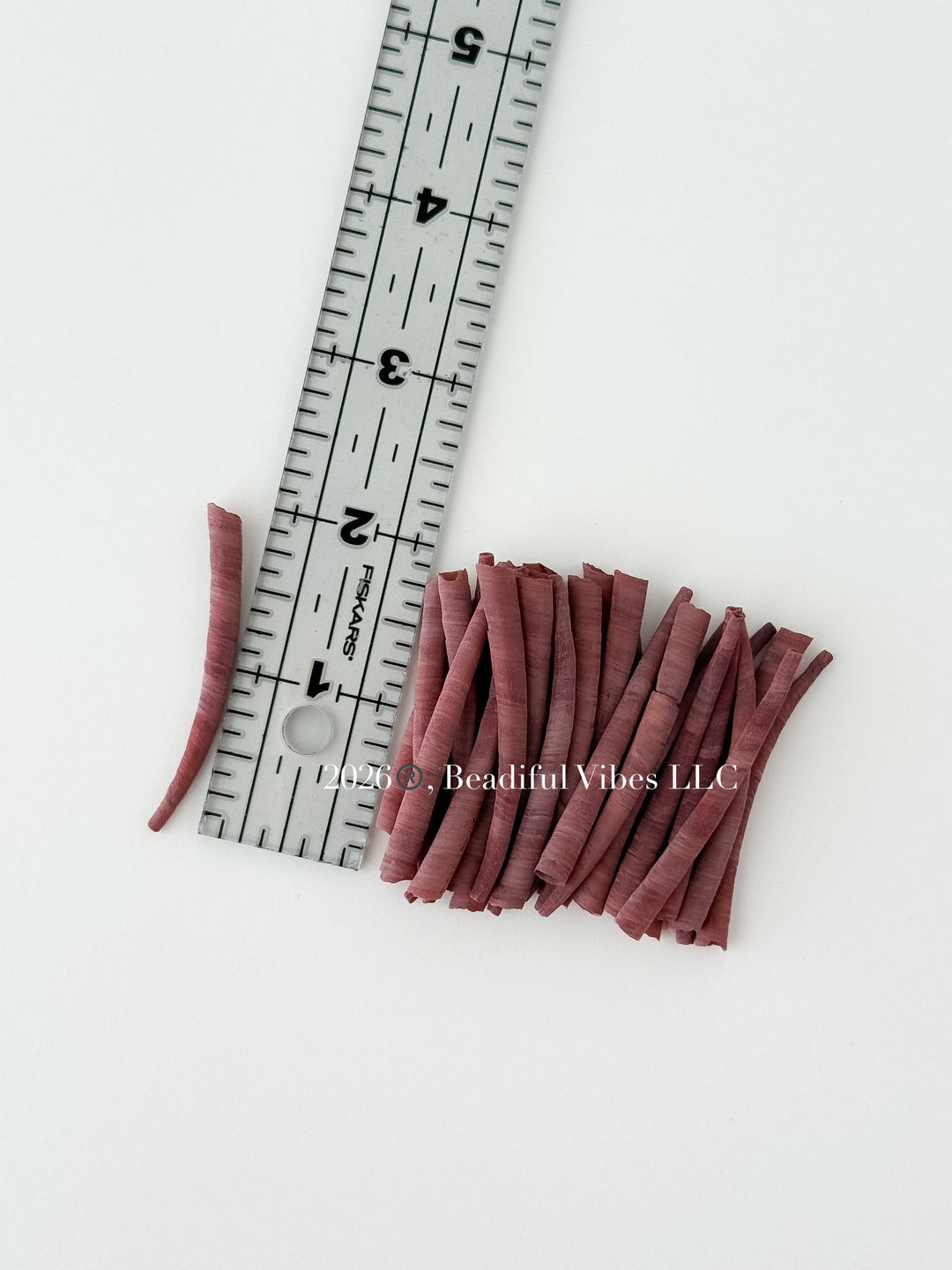 Mulberry Wine Dentalium Shells