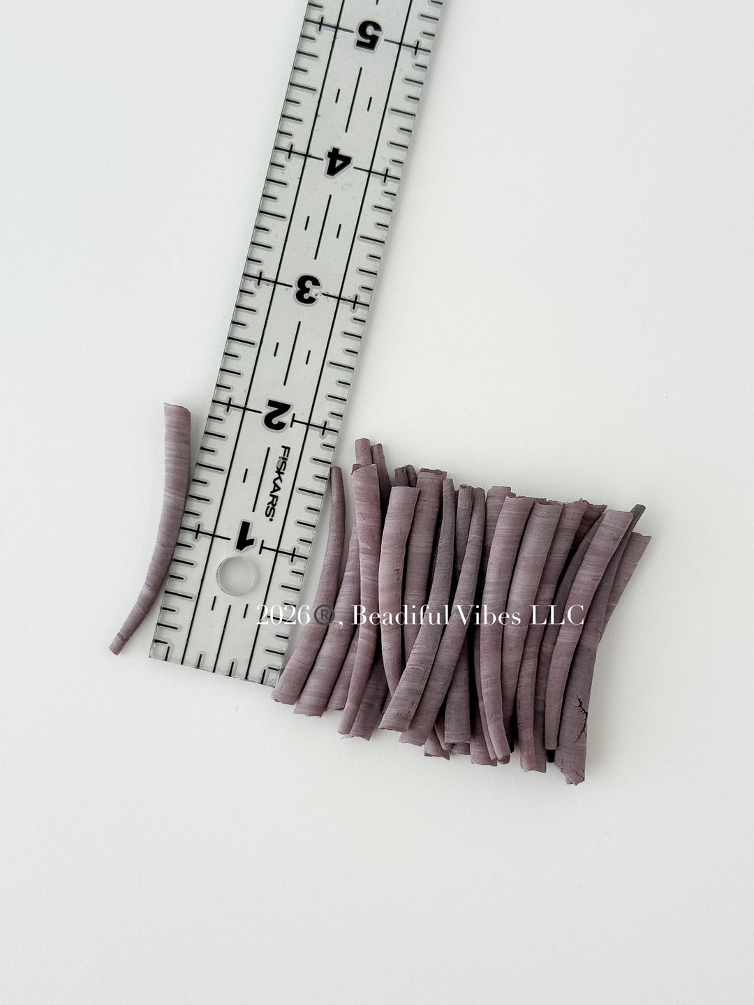 Faded Lilac Dentalium Shells