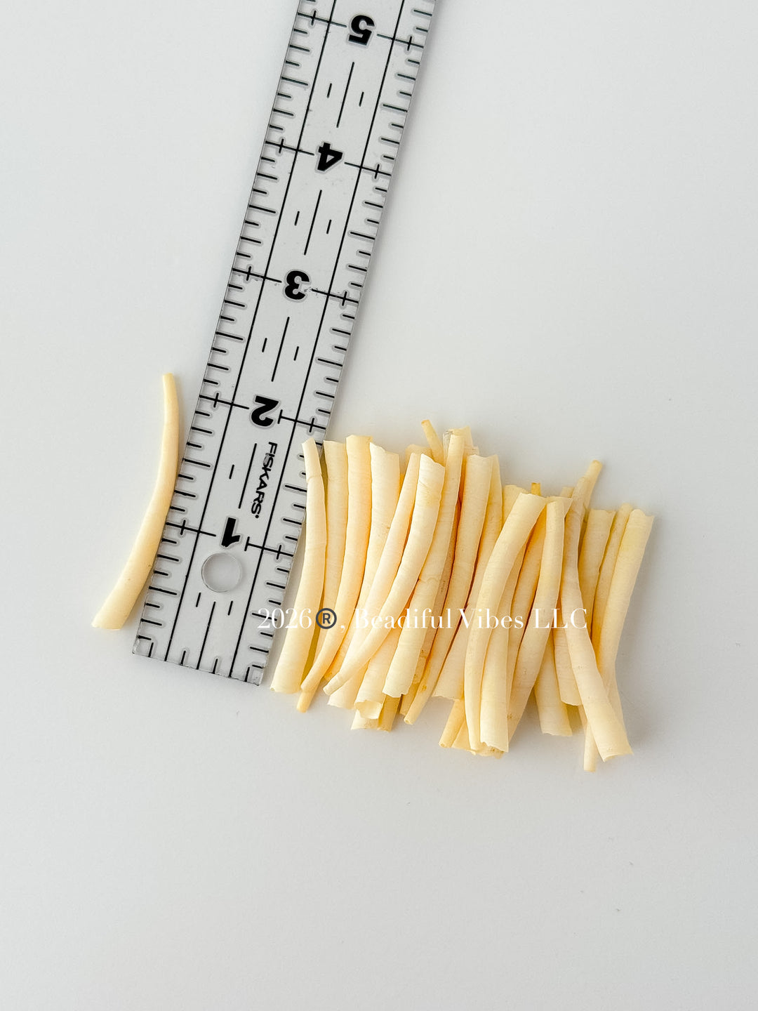 Butter Yellow Dentalium Shells