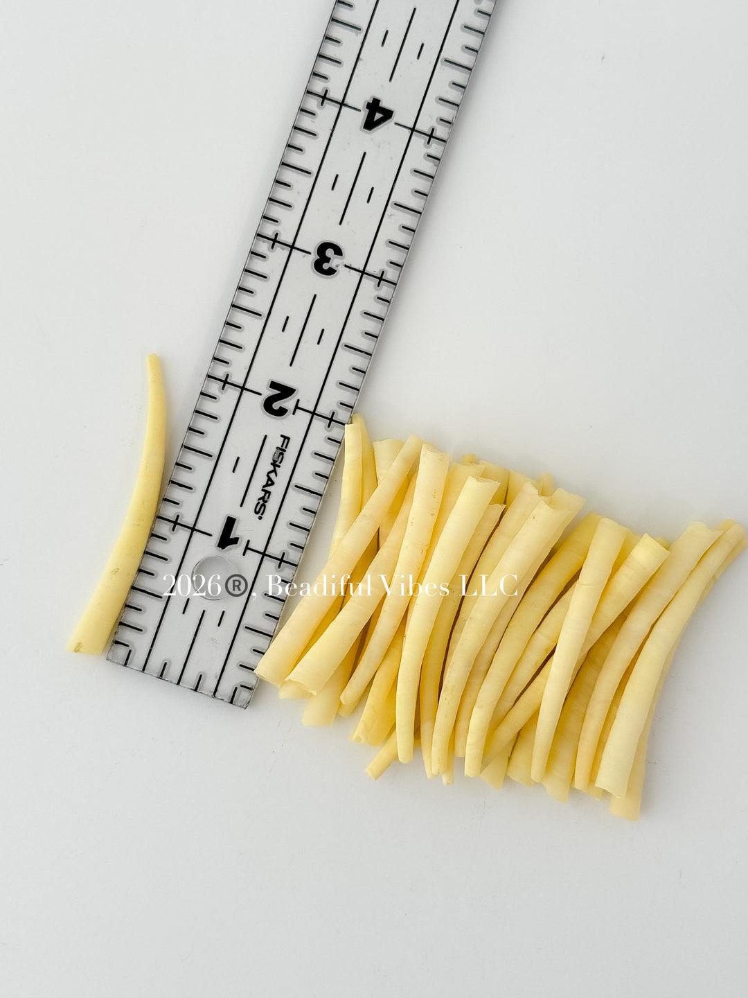 Butter Yellow Dentalium Shells