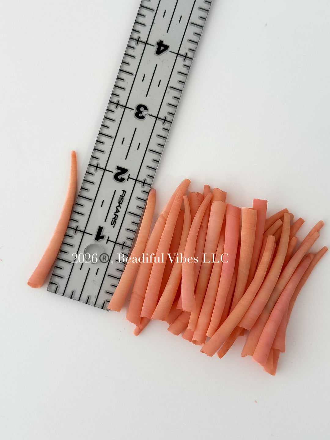 Creamsicle-Dentalium Shells