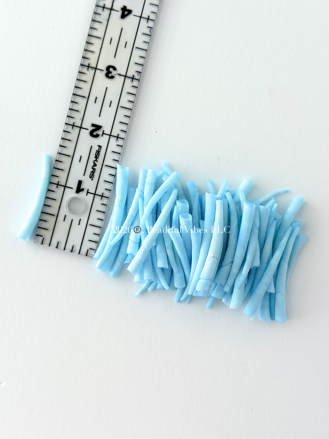 Sky Blue Dentalium